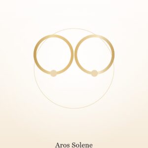 Par de aros circulares con baño de oro de 18 quilates