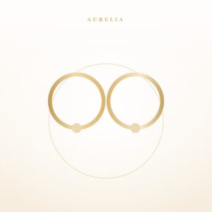 Par de aros circulares con baño de oro de 18 quilates