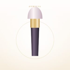 Set de seis brochas de maquillaje con detalles dorados y estuche
